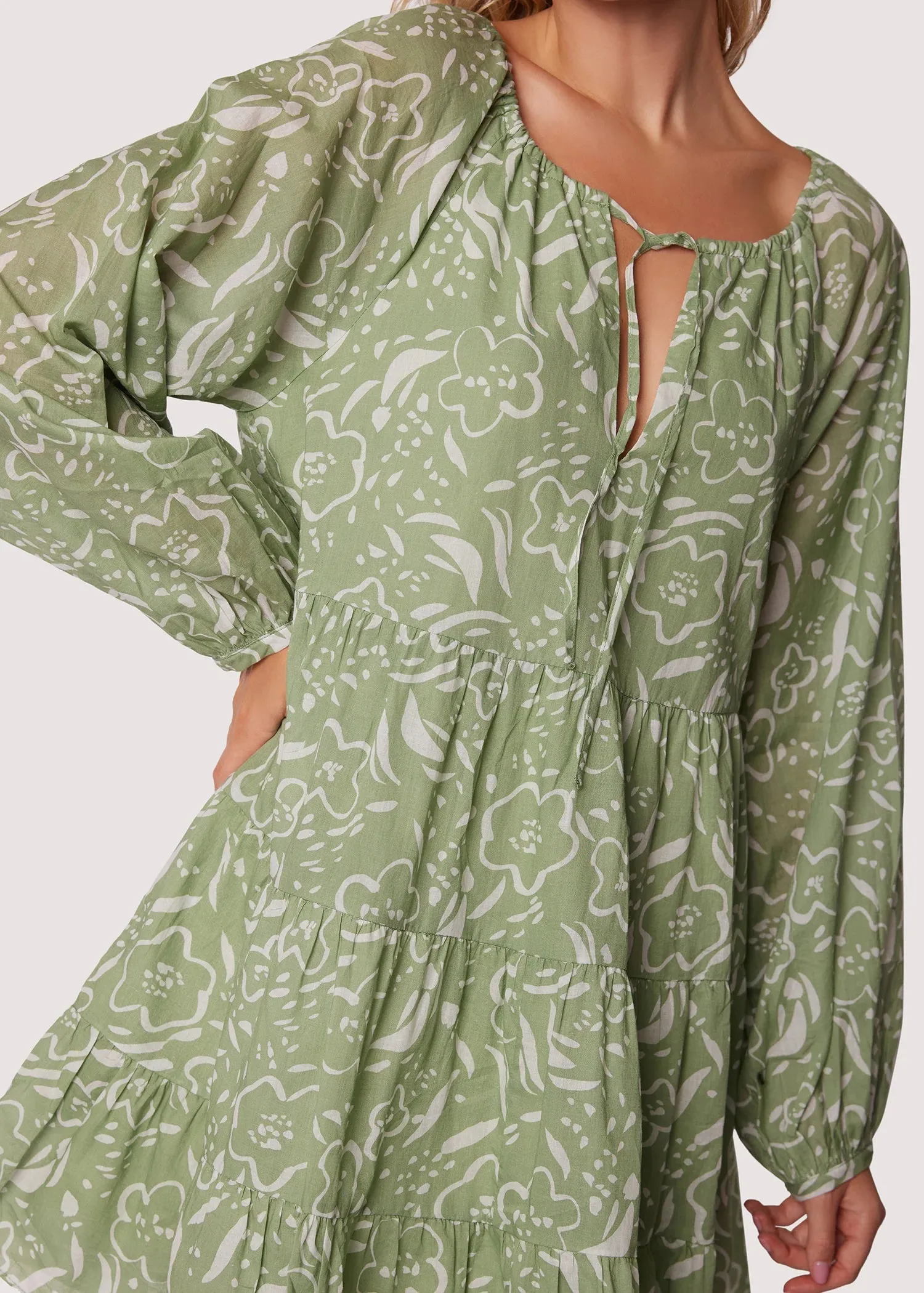 Saguara Blooms Mini Dress