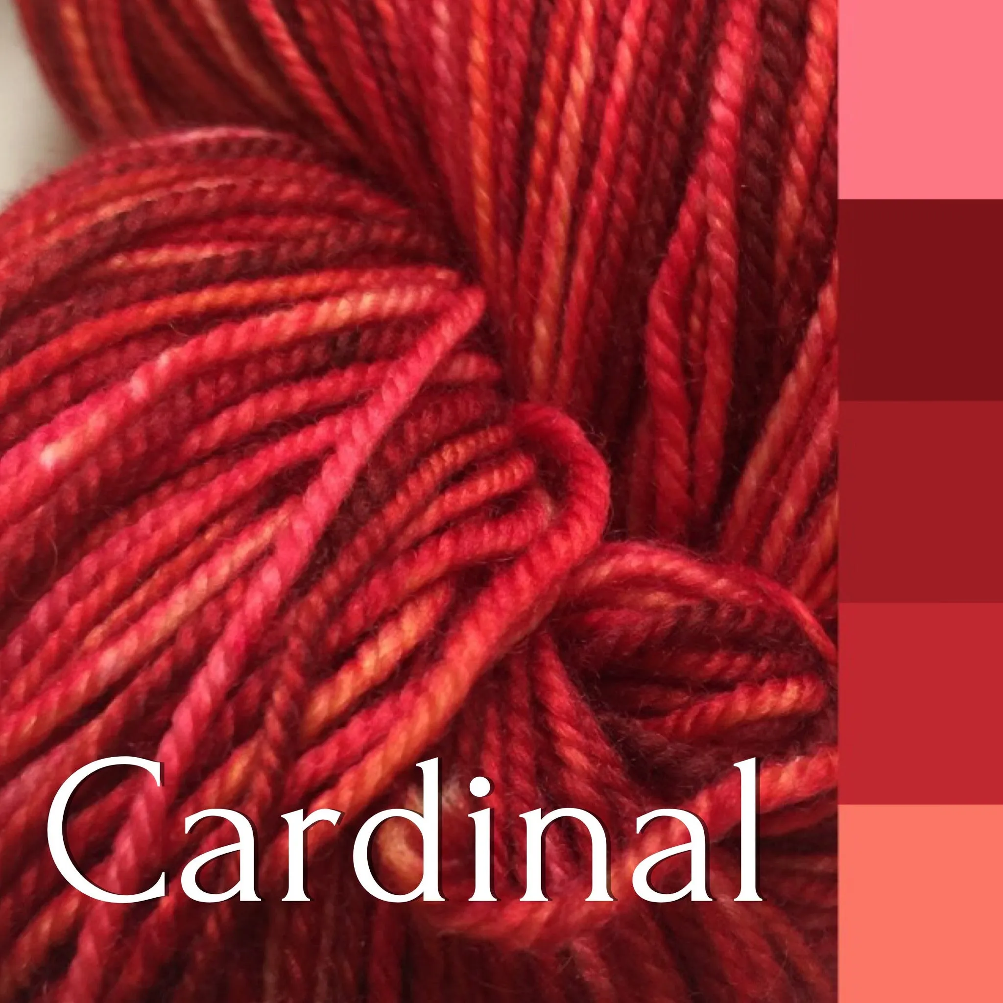 Superwash Merino Bulky