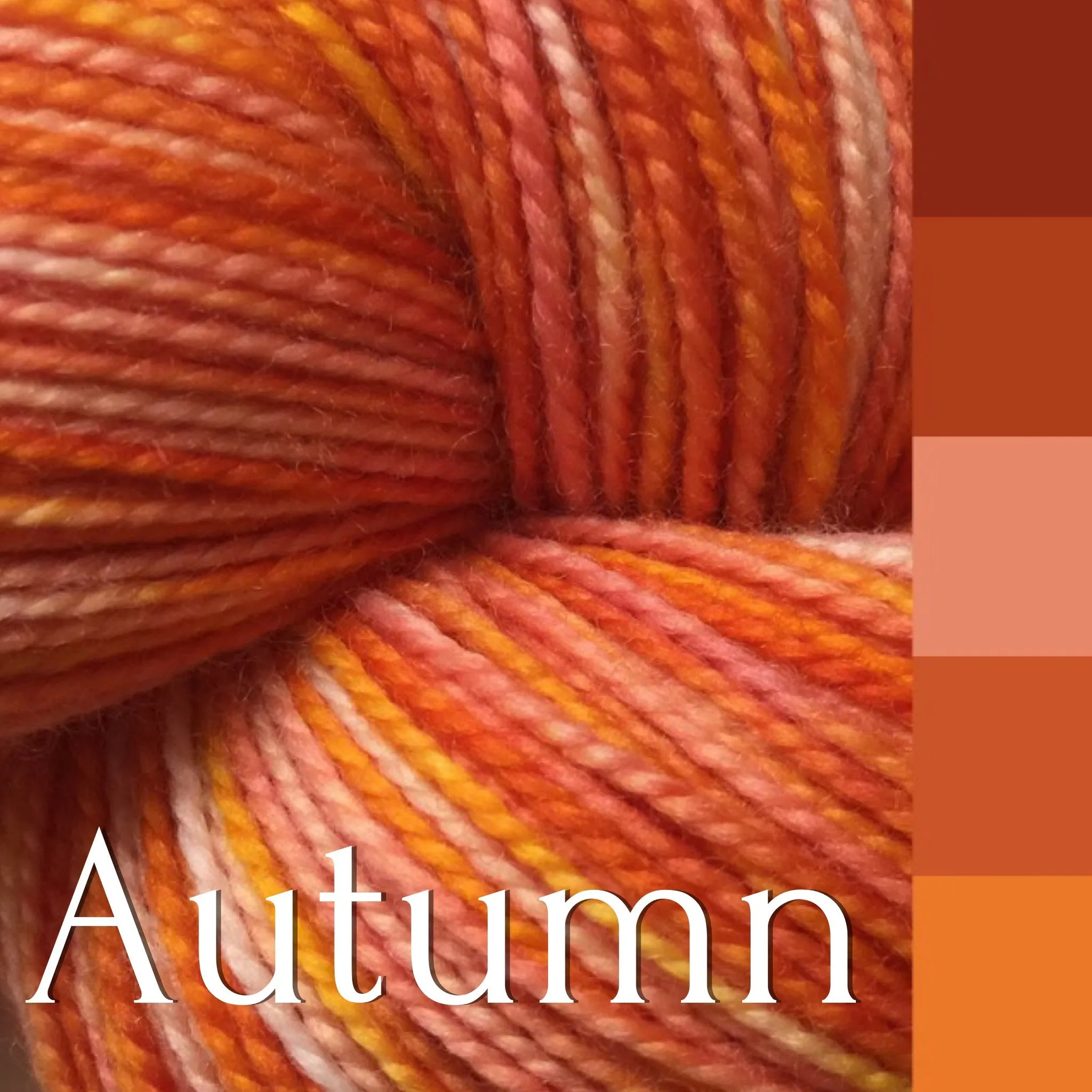 Superwash Merino Bulky